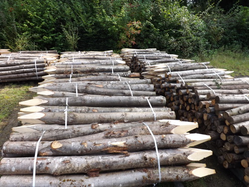 fencing stakes north devon
